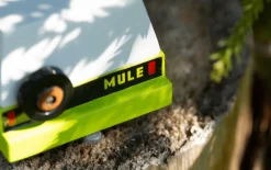 Candylab – Everglades Mule