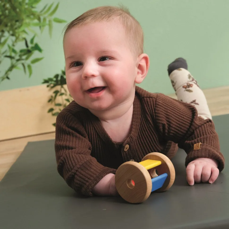 Educo Rattle the cylinder