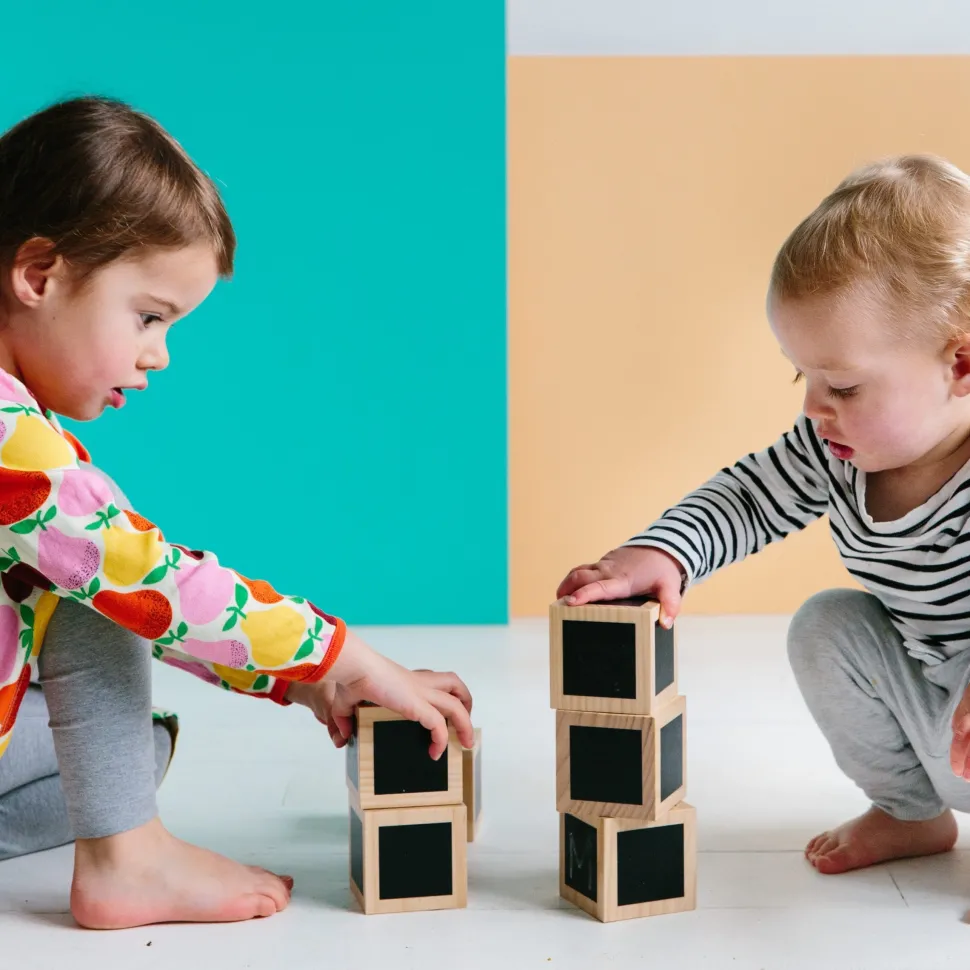 Freckled Frog Fun with Chalk! Wooden Cubes