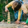 Freckled Frog Lifecycle Wooden Blocks