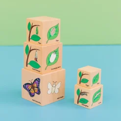 Freckled Frog Lifecycle Wooden Blocks