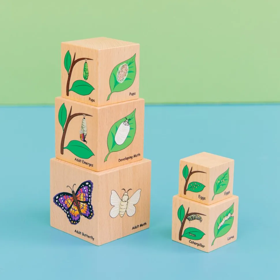 Freckled Frog Lifecycle Wooden Blocks