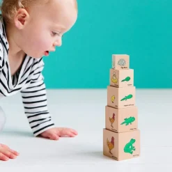 Freckled Frog Lifecycle Wooden Blocks