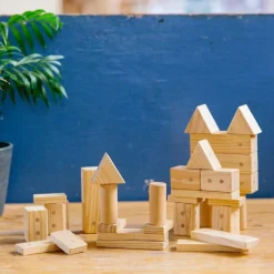 Freckled Frog Magnetic Wooden Blocks