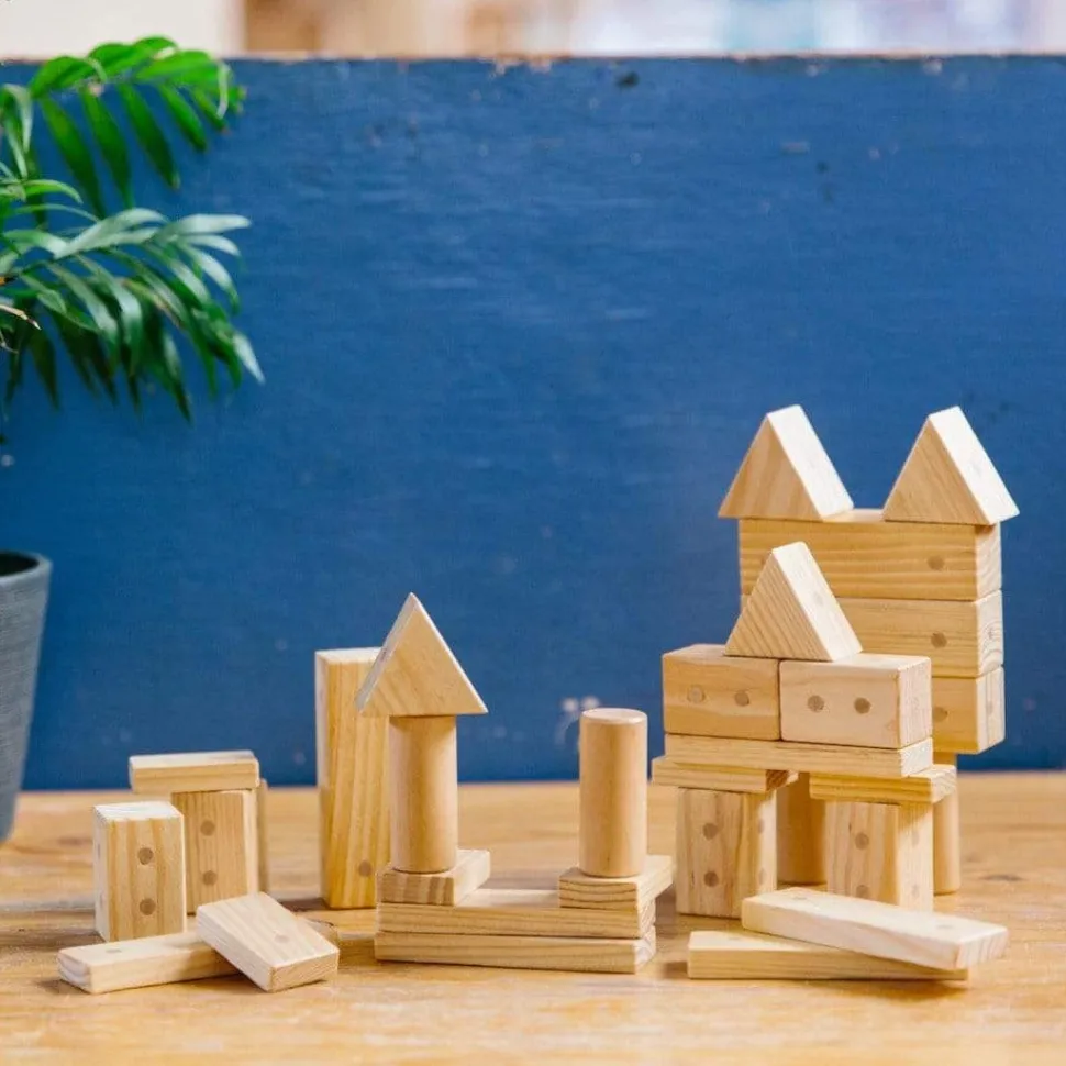 Freckled Frog Magnetic Wooden Blocks