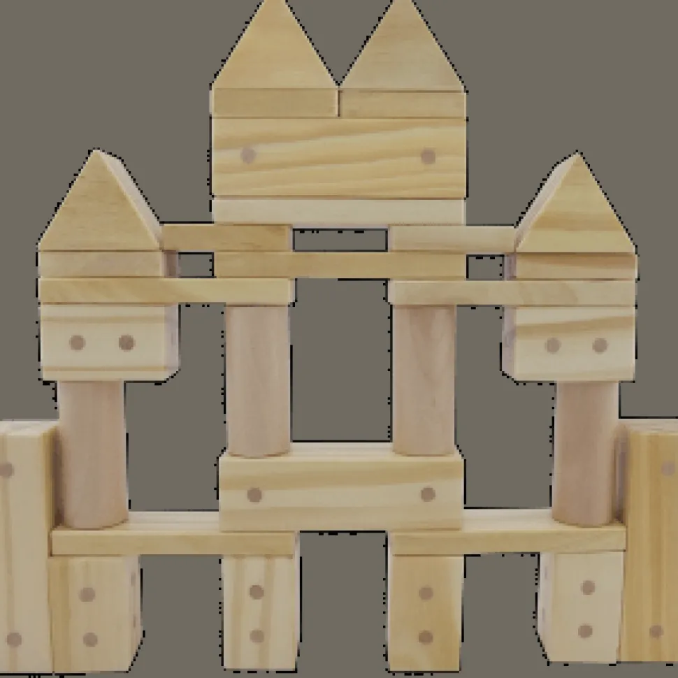 Freckled Frog Magnetic Wooden Blocks