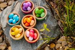 Freckled Frog Rainbow Nests