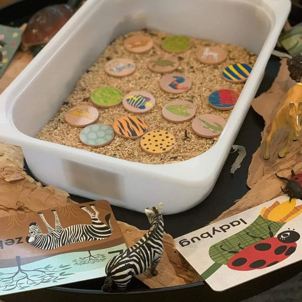 Freckled Frog Who am I? – Matching Pairs