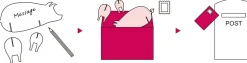 Good Morning Post Animal-Pig