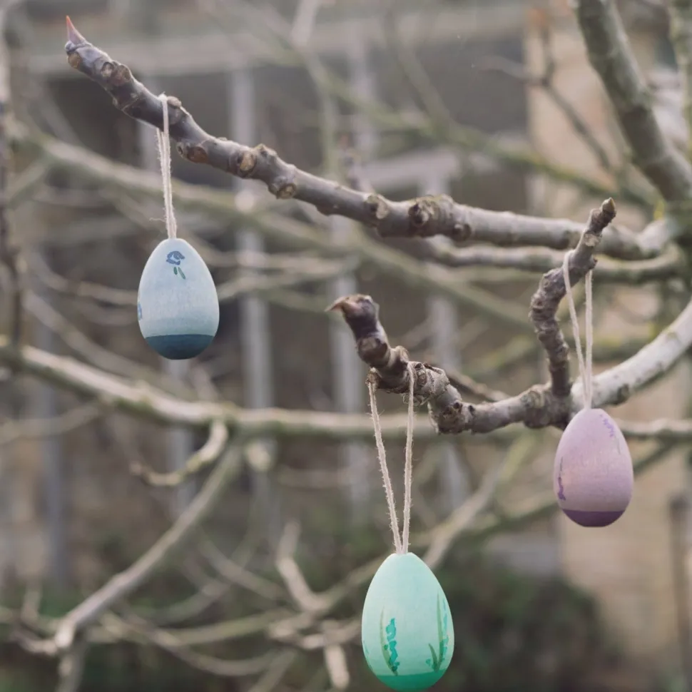 Grapat Aurora Eggs