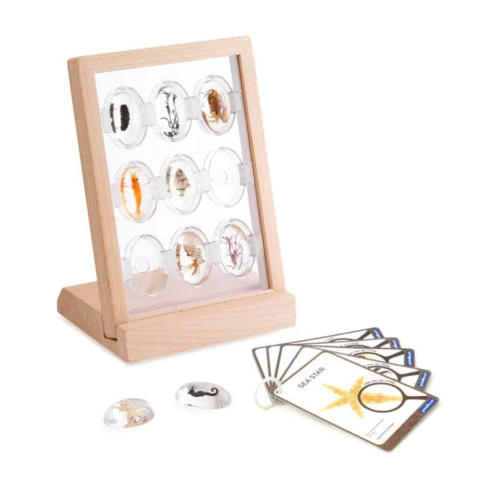 Guidecraft Specimen Stones Tabletop Stand