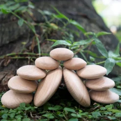 Guidecraft Wood Stackers River Stones
