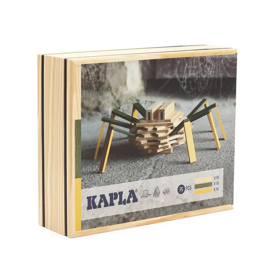 Kapla Spider Case