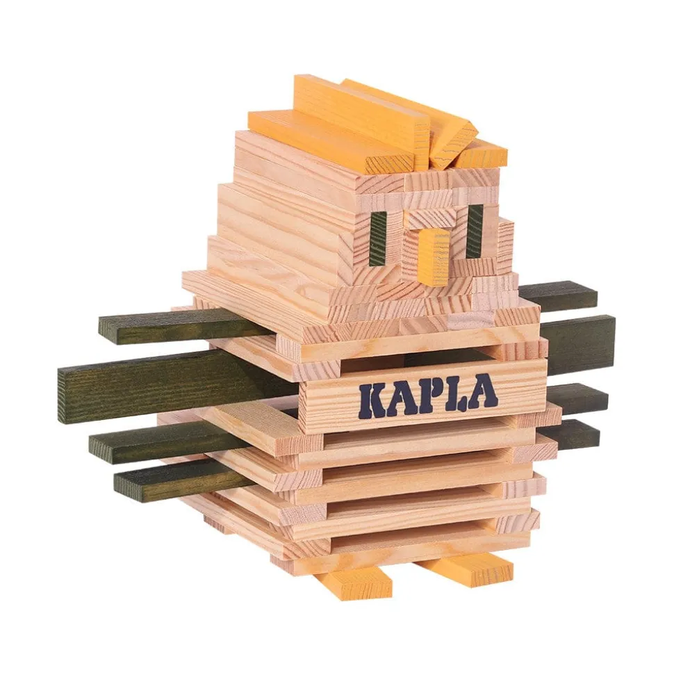 Kapla Spider Case