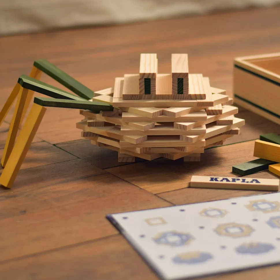 Kapla Spider Case