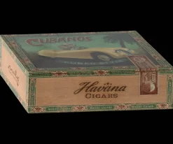Maileg Grandma And Grandpa Mice in Box