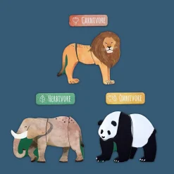 mierEdu All About - Animals Magnetic
