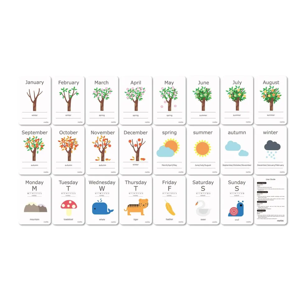mierEdu Cognitive Flash Cards - Days & Seasons