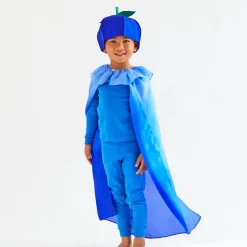 2025 New Sarah’s Silks Blueberry Cape