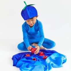 2025 New Sarah’s Silks Blueberry Playsilk