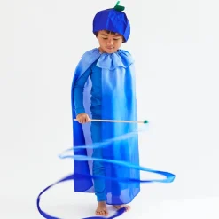 2025 New Sarah’s Silks Blueberry Cape