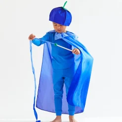 2025 New Sarah’s Silks Blueberry Streamer