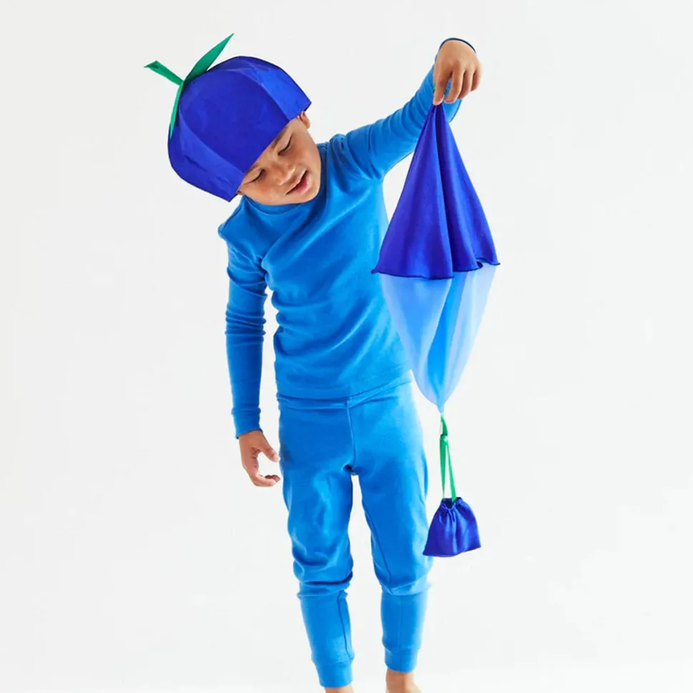 2025 New Sarah’s Silks Blueberry Parachute