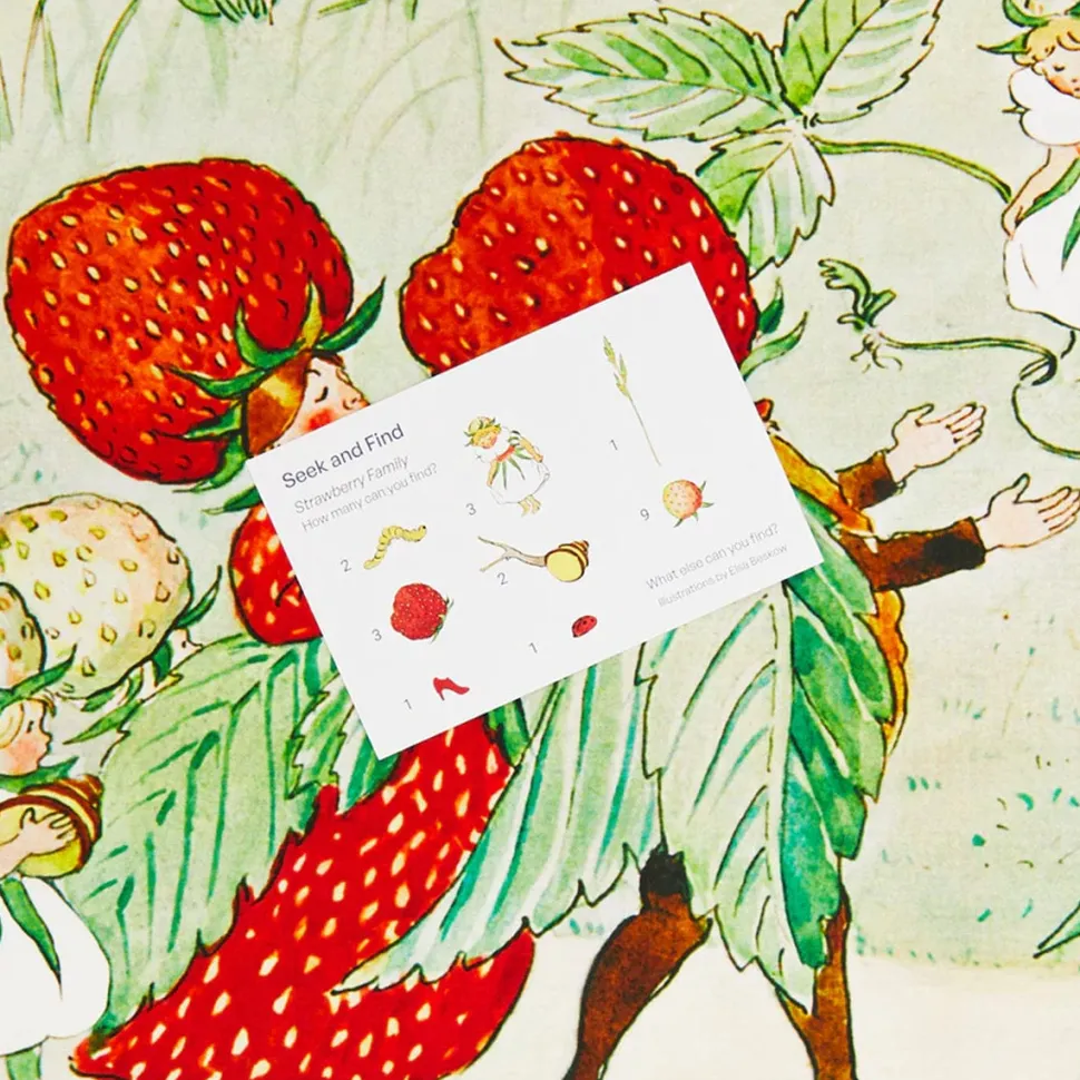 2025 New Sarah’s Silks Strawberry Family Seek & Find