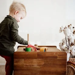 QToys 3 in1 Toddler Chair