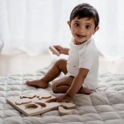QToys Fruit Puzzle