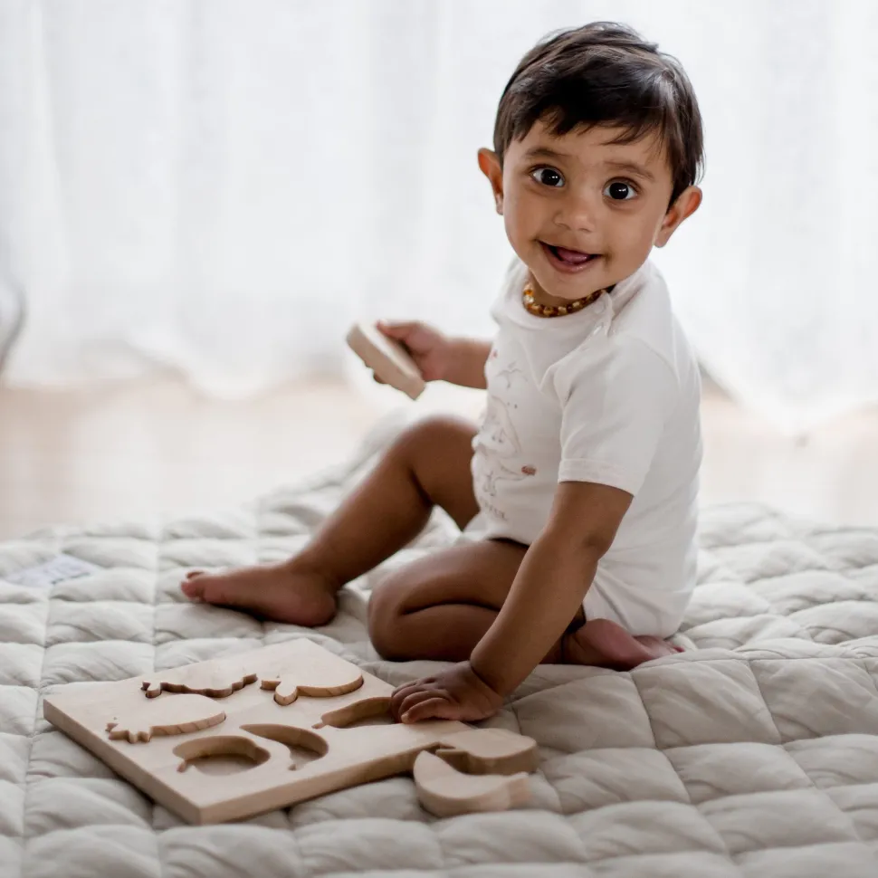 QToys Fruit Puzzle