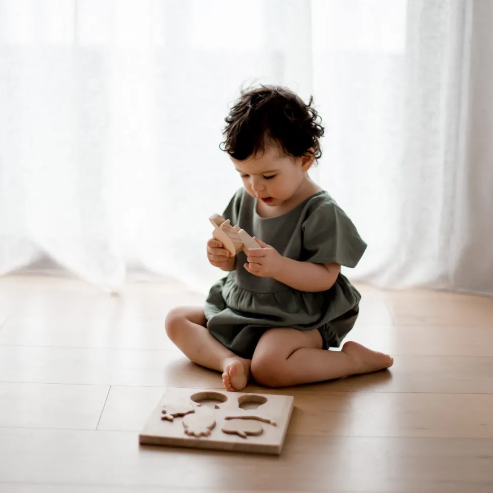QToys Fruit Puzzle