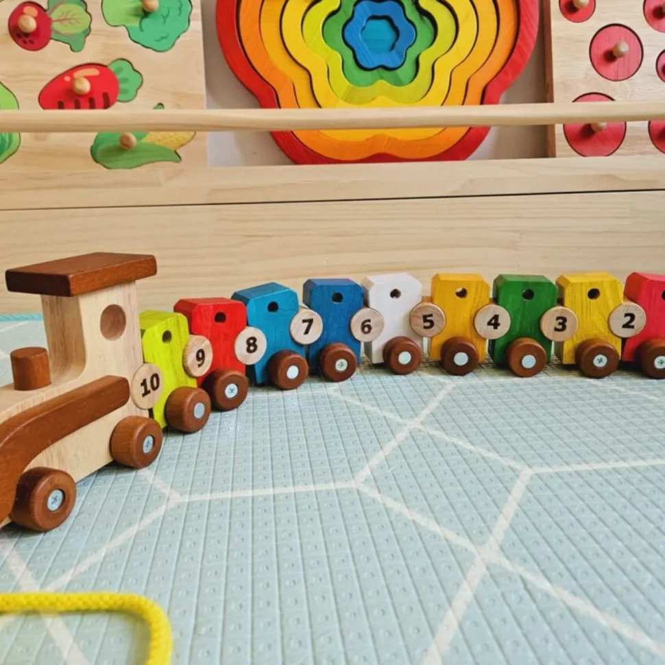 QToys Lacing Train