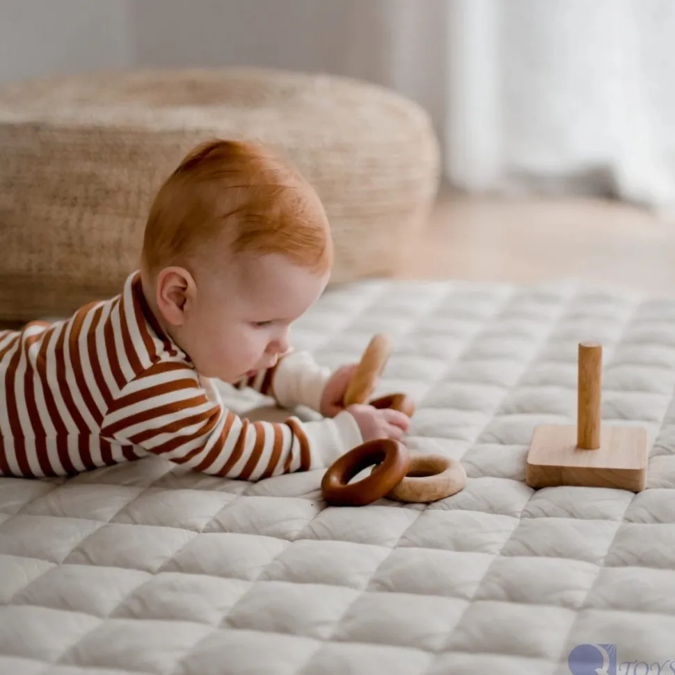 QToys Montessori Baby Rings