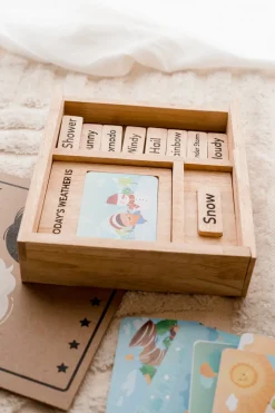 Qtoys Weather Play set