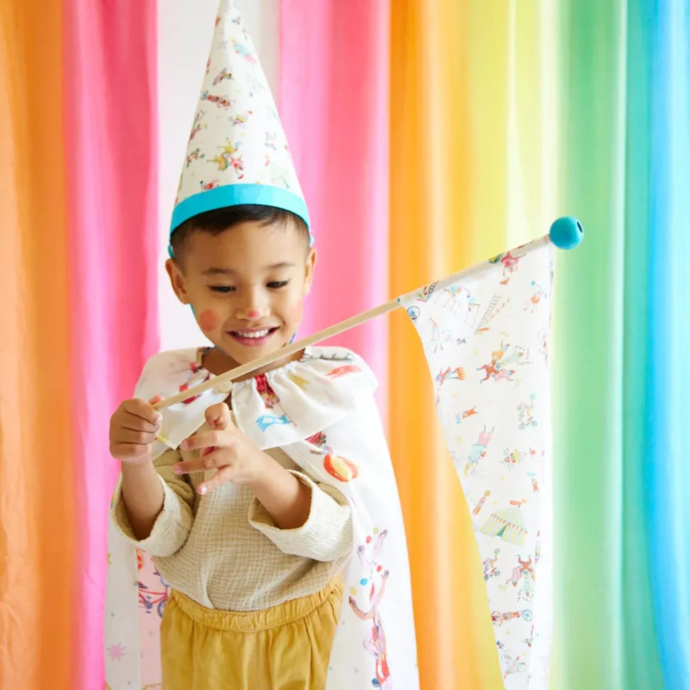 Sarah's Silks Hat - Circus