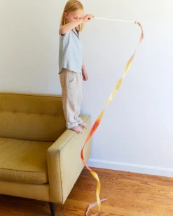 Sarah's Silks Streamer