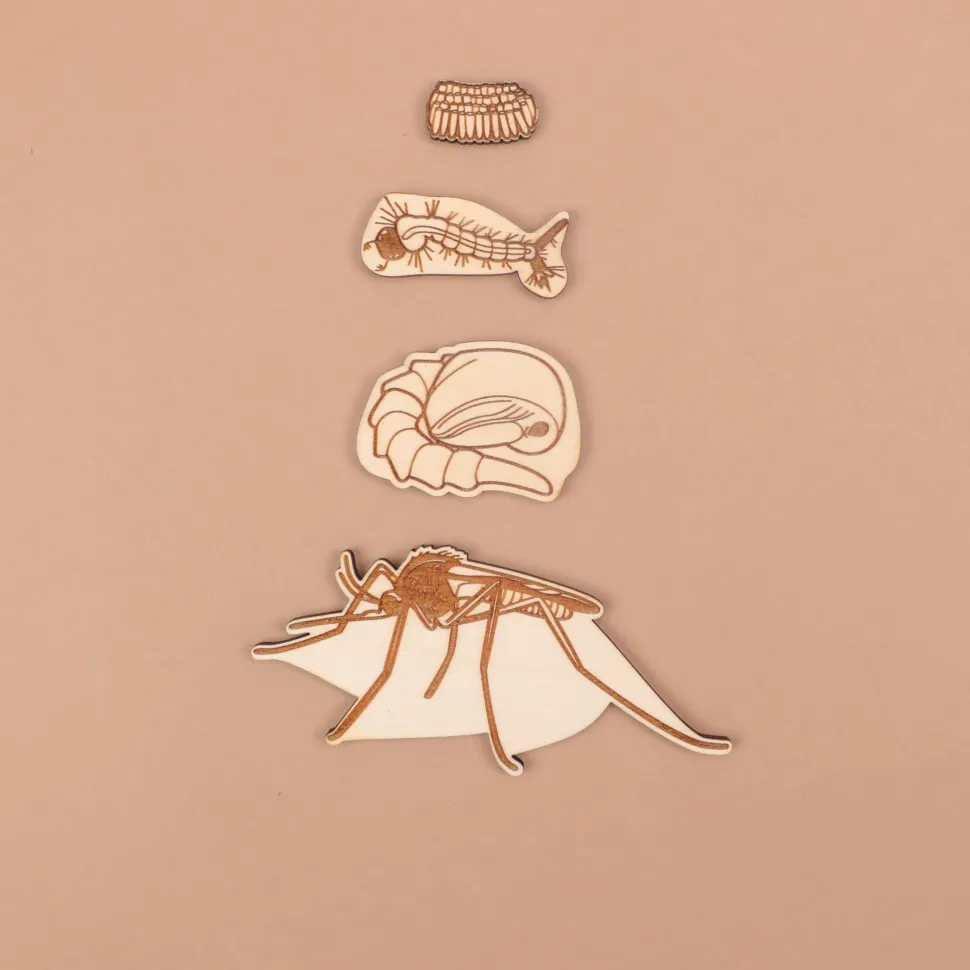Stuka Puka A Bugs Life Puzzle