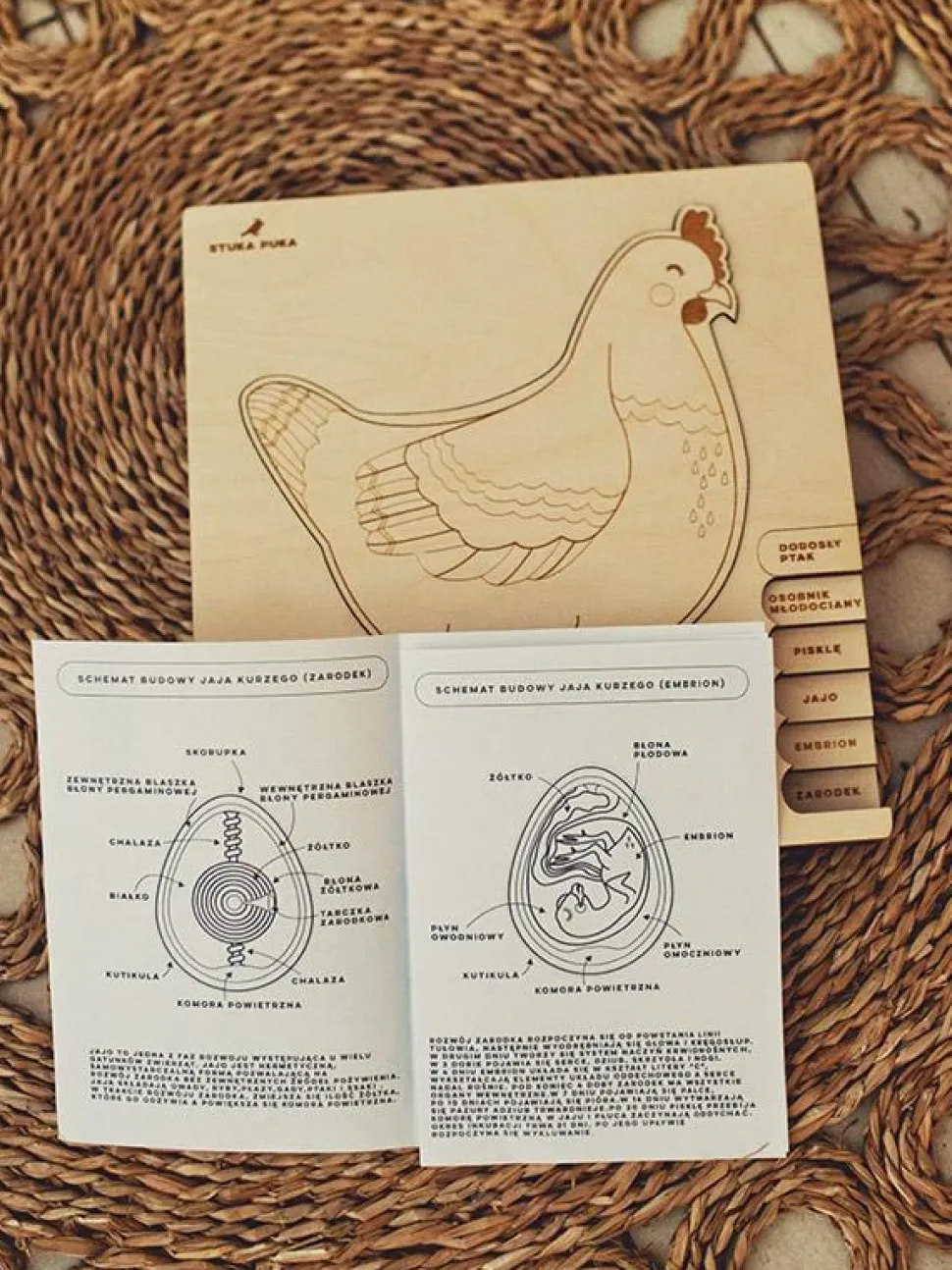 Stuka Puka Chicken or the Egg Puzzle