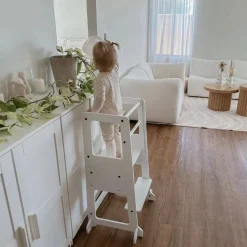 The Full Mini Chef: My Duckling Adjustable Learning Tower 2 in 1 set