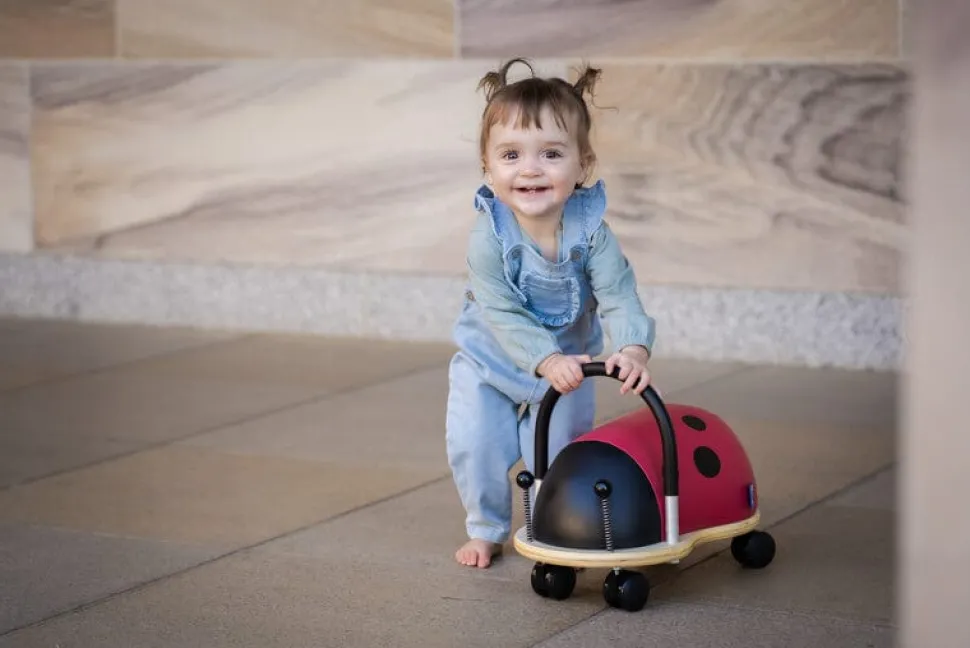 Wheely Bug Ladybug Small