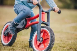 Wishbone Bike RE2 3-in-1