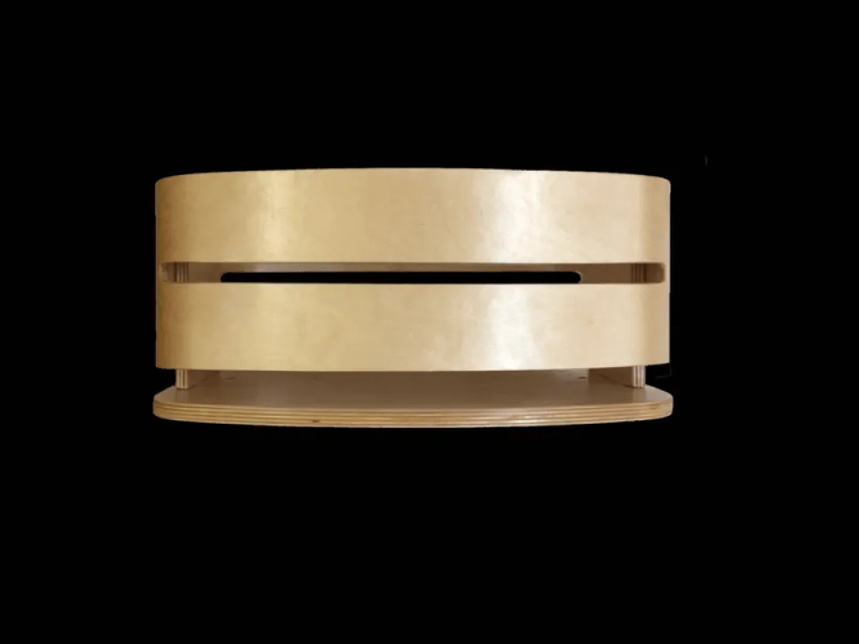 Wishbone Cargo Bin